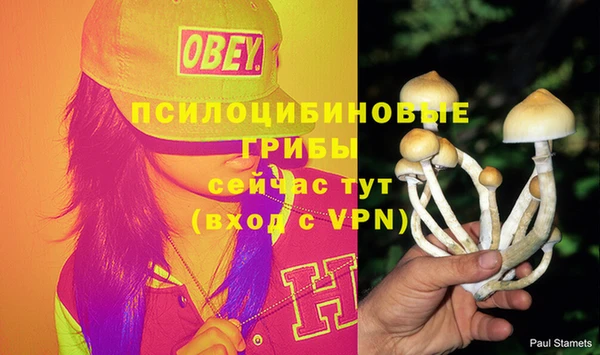 соль курить ск Абаза