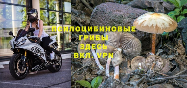 соль курить ск Абаза